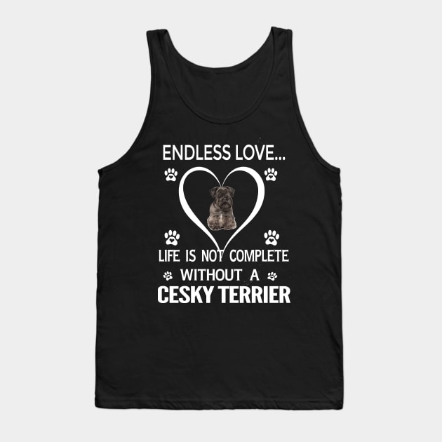 Cesky Terrier Lovers Tank Top by bienvaem